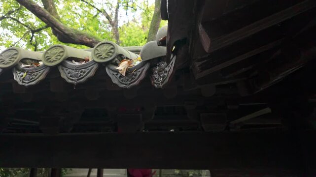 Upward shooting of traditional blue roof tiles