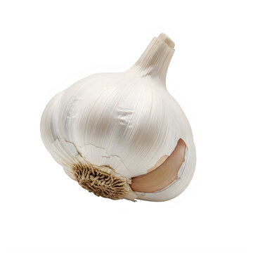 A bulb of garlic with some cloves exposed isolated on transparent background