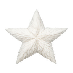 Fototapeta premium PNG White feathered star decoration