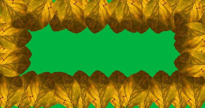 Digital animation of multiple yellow autumn leaves forming a frame against black background