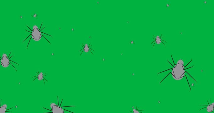 Halloween digital illustration features a scary beetle icon on a black background.