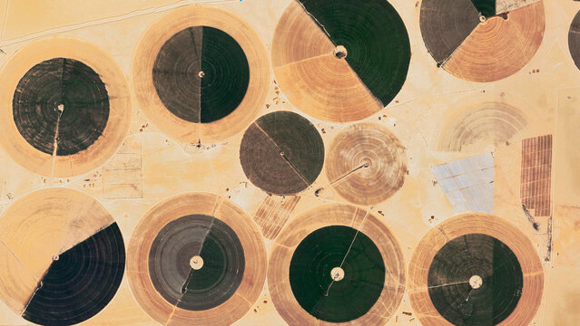 aerial view of center-pivot irrigation fields in a desert landscape. The vibrant green and golden circular crop patterns create a striking geometric contrast against the arid sand. Agro
