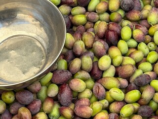 Olives and a metallic bowl at a market stall showcasing fresh produce for culinary use © dvoevnore