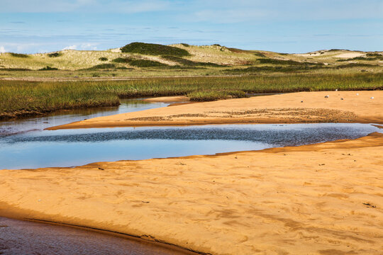Cape cod coastal landscape with marsh and sand dunes