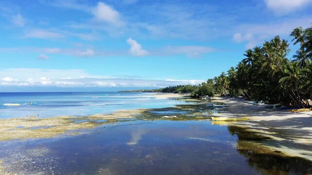 Scenic view of a tropical beach with clear blue water, palm trees, and a bright sky on Siquijor Island, Philippines. Peaceful coastal landscape ideal for travel and vacation themes.