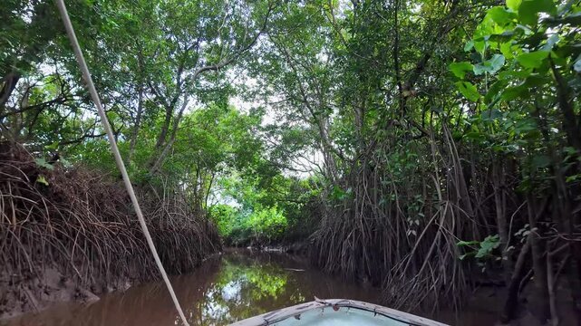 Boat trip on the Igarape do Urubu River, Delta das Americas, Ilha das Canarias, Brazil. Amazon Rainforest. South America