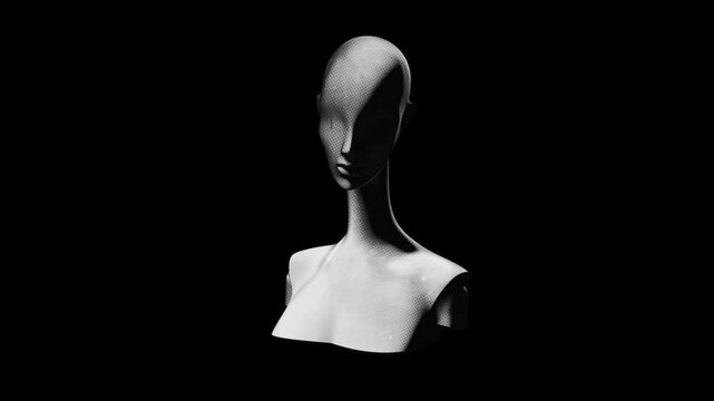 A drag and drop overlay of a mannequin in a 360 spinning loop with alpha.
