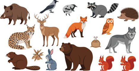 Obraz premium Woodland Forest Animal Vector Icon Set Featuring Bear, Wolf, Fox, Deer, Owl, and Raccoon Illustrations for Nature Education, Nursery Decor, and Wildlife Branding Projects
