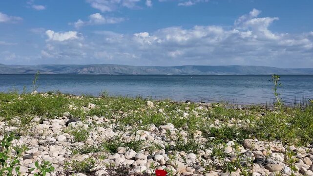 shore of Sea of Galilee or the Kineret lake in northern Israel  with Golan Heights in background