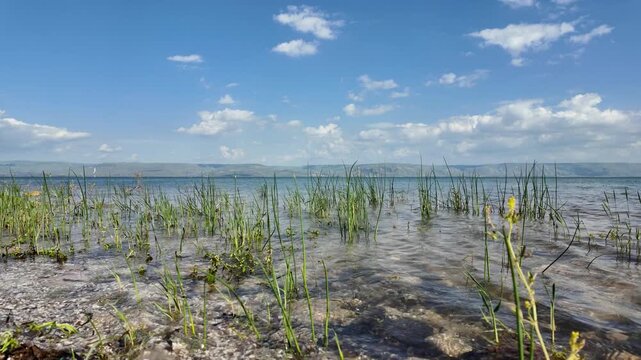 shore of Sea of Galilee or the Kineret lake in northern Israel  with Golan Heights in background