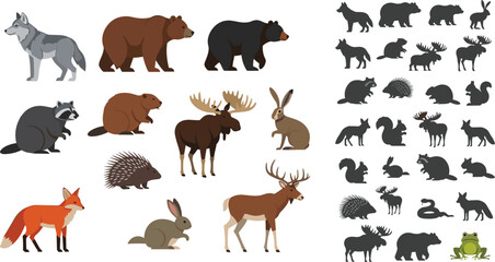 Fototapeta premium Woodland Forest Animal Vector Collection with Detailed Illustrations and Silhouettes Featuring Wolf Bear Moose Fox Raccoon Deer and Beaver for Nature Design Projects