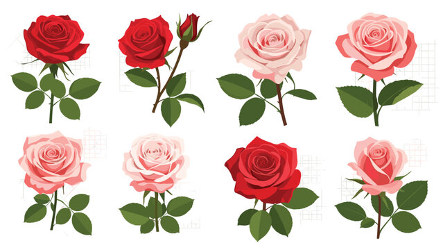 Detailed collection of eight beautiful rose illustrations in various shades of red and pink with green leaves and buds.