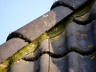 Roof tiles showing moss and lichen growth © O-Trism Picture