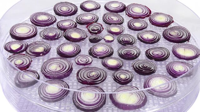 Time lapse of drying (dehydrating) red onion (Allium cepa) vegetable on white background