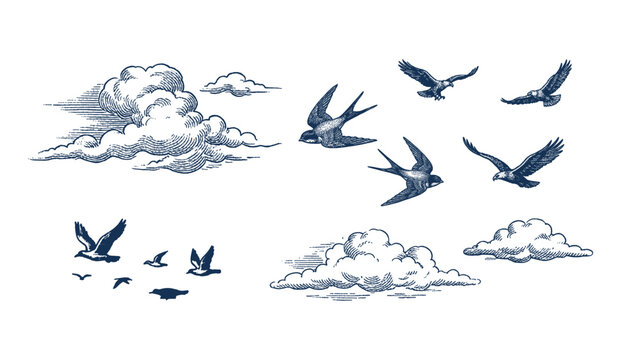Birds in flight and clouds sky elements vintage engraving set