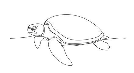 Turtle swimming in the ocean water. © chici