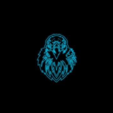  Black and White Eagle Head Animation with Fluid Lines and Seamless Loop