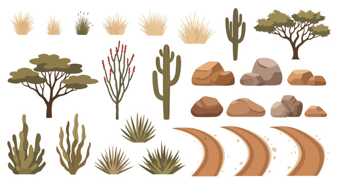 Desert Landscape Elements Vector Set with Cacti, Trees, Rocks, Grass, and Dirt Paths