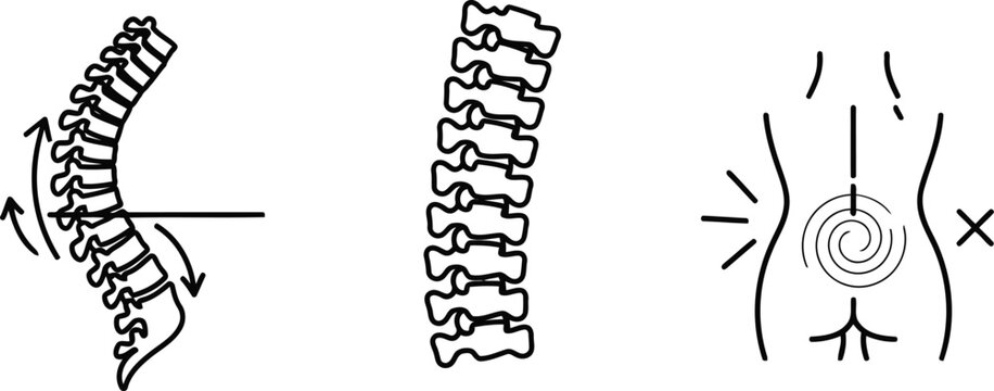 Vector of Human spine anatomy curvature and abdominal pain symbol as black and white vector icons for medical education