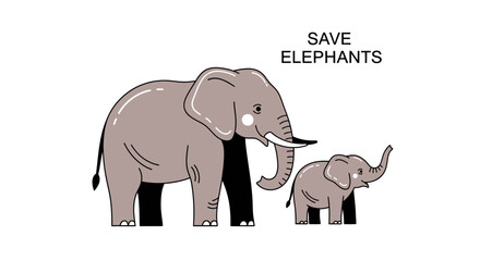 Fototapeta premium Two grey elephants standing together.
