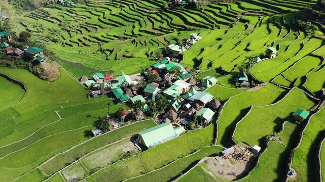 Aerial view of Batad village surrounded by lush green rice terraces in the Philippines. The landscape features dramatic terraced fields and traditional rural architecture.