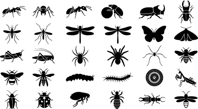 Savanna Insect Icons. Savanna Insects. Solid icon set of Savanna Insects: termite, dung beetle, mosquito, dragonfly, butterfly, ant, locust, grasshopper, 