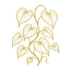 Fototapeta premium PNG Elegant gold leaf illustration design.