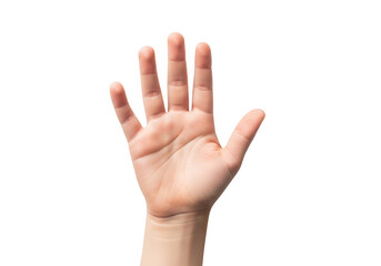 Obraz premium A caucasian hand displaying an open palm with five fingers on transparent background