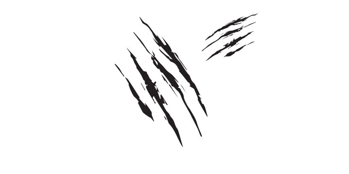 Black Claw Marks on White Background.