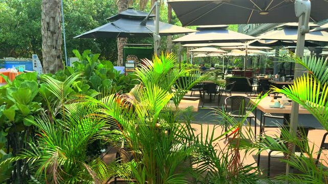 Tropical outdoor restaurant terrace, palm leaves in sunlight, luxury cafe patio, bright summer vacation vibe for travel, hospitality, and summer leisure commercial projects.