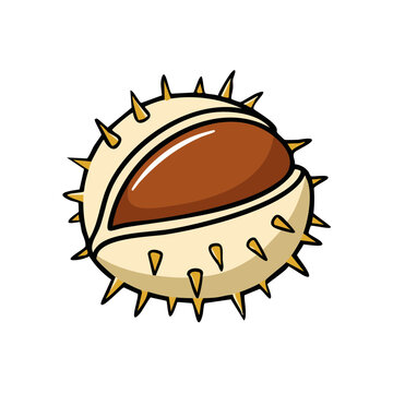 Cartoon illustration of a spiky horse chestnut seed pod opening to reveal the brown nut inside.