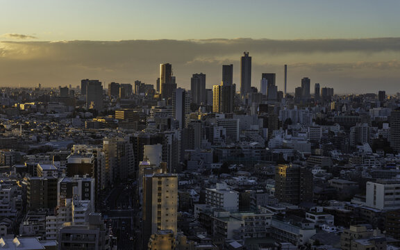 Aerial view of the modern skyscrapers pierce the skyline, gilded in the warm glow of the setting sun, casting long shadows across the urban landscape, Bunkyo City, Tokyo, Japan.