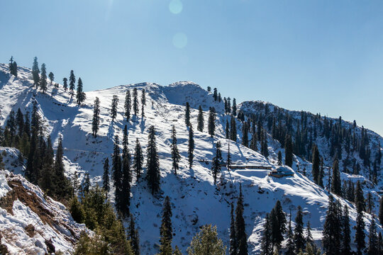 View of snow-blanketed mountain slopes dotted with evergreen trees under a clear sky, creating a serene winter landscape, Lasdana, Azad Kashmir, Pakistan.