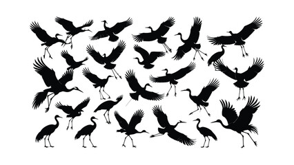 Fototapeta premium Silhouette of flying cranes in formation.
