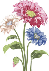 Obraz premium Colorful pink white purple gerbera floral illustration, modern botanical arrangement of gerber flowers in retro water color painting art style, transparent vector isolated graphic, detailed intricate