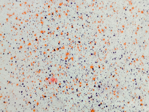 Textura de salpicaduras de pintura morada con puntos naranjas sobre superficie blanca