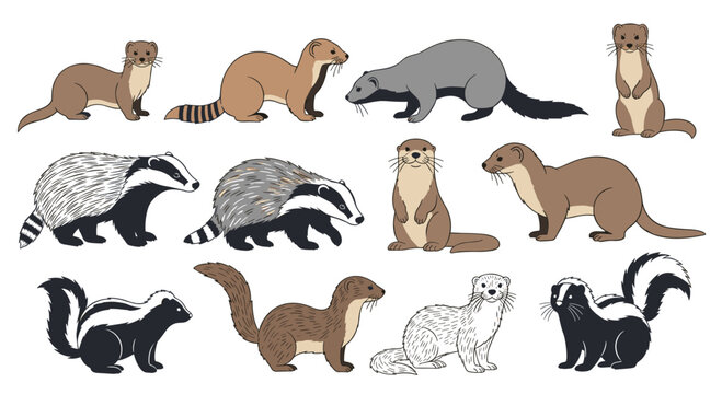A large collection of mustelid and related animals, including weasels, otters, badgers, and skunks, in various artistic styles.
