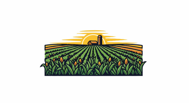 Sunset over a lush cornfield with a barn and silo