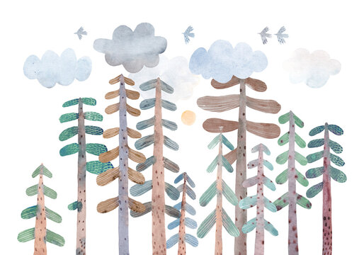 Coniferous forest. Cute firs, pines, clouds, and birds. Watercolor illustration.