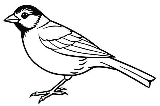 finch bird silhouette line art vector illustration with a white background