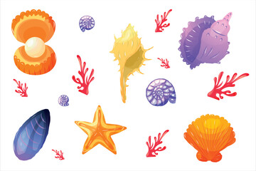 Set of Colorful Vector Sea Shells Corals and Starfish Isolated on White © Olha Ishchenko