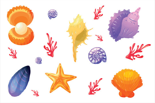 Set of Colorful Vector Sea Shells Corals and Starfish Isolated on White