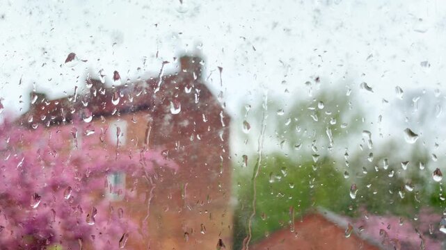 rain drops on window with cherry blossom background 