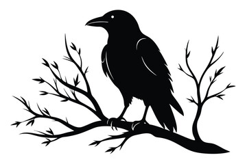 Obraz premium crow setting on a branch silhouette line art vector illustration with a white background