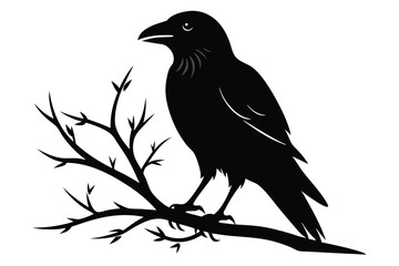 Obraz premium crow setting on a branch silhouette line art vector illustration with a white background