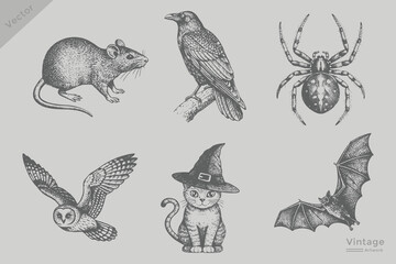 Obraz premium Vintage spider, snake, crow, rat, Bat, cat, owl realistic sketch Isolated grunge style vector. Halloween elements engraving style illustration.