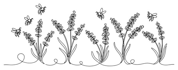 Bees pollinating lavender flowers in field in continuous line art style © Katarzyna