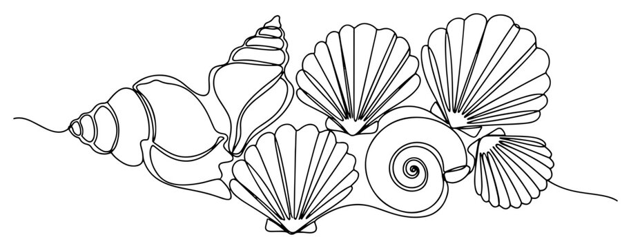 Seashells and marine conch shells collection in minimalist continuous line art style