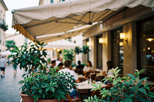 Potted plants line the outside of a cafe, the cozy, pleasant environment welcoming guest with background blur of diners enjoying al fresco dining at the restaurant, backdrop for covers, banners, decor