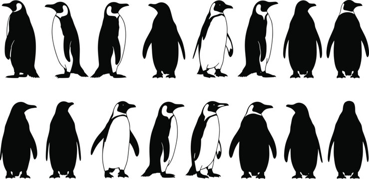 Large Silhouette Collection of Penguins in Various Poses Including Walking Standing and Alert StancesLarge Silhouette Collection of Penguins in Various Poses Including Walking Standing and Alert Stanc